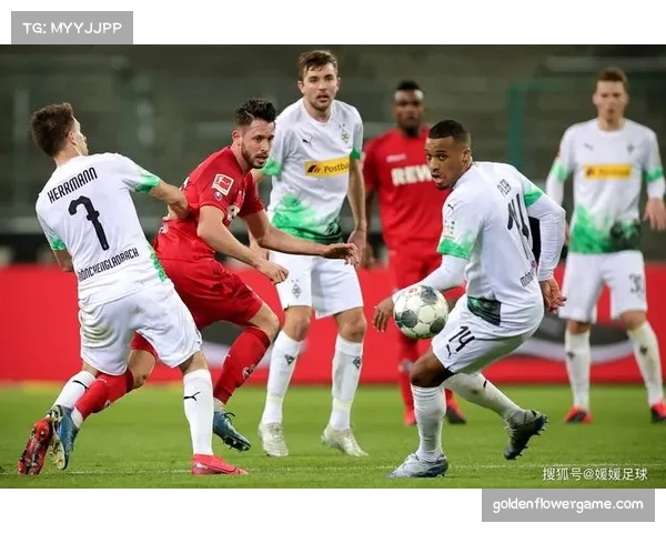 云达不莱梅老将沃伯加盟 球队防守稳定性得到增强